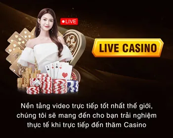 Đội ngũ hỗ trợ